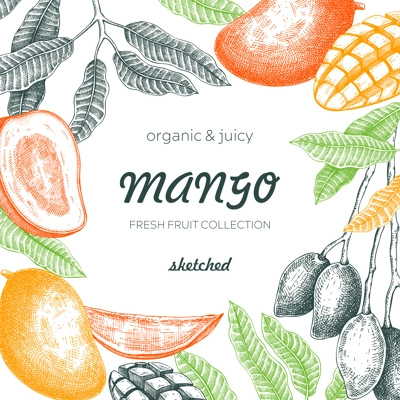 Summer background. Tropical fruit frame. Ripe mango sketch. Hand drawn vector illustration. Packaging, menu template, juice design. Mixed media style. NOT AI generated.